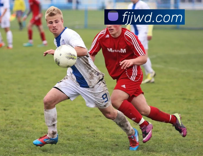 问鼎28服务体系